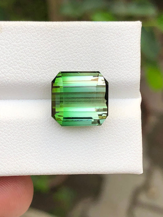 8.95 carat unique bi colour tourmaline origin Afghanistan 12*11*7mm