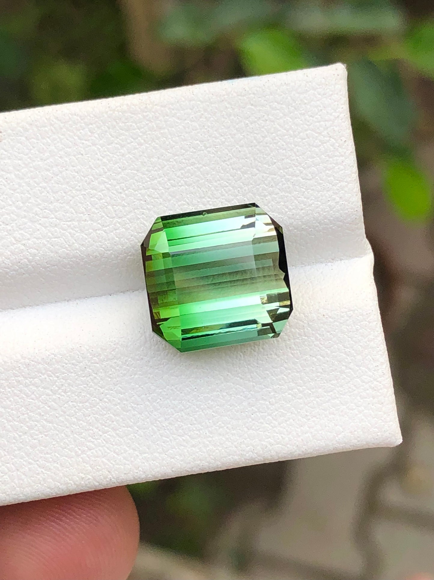 8.95 carat unique bi colour tourmaline origin Afghanistan 12*11*7mm