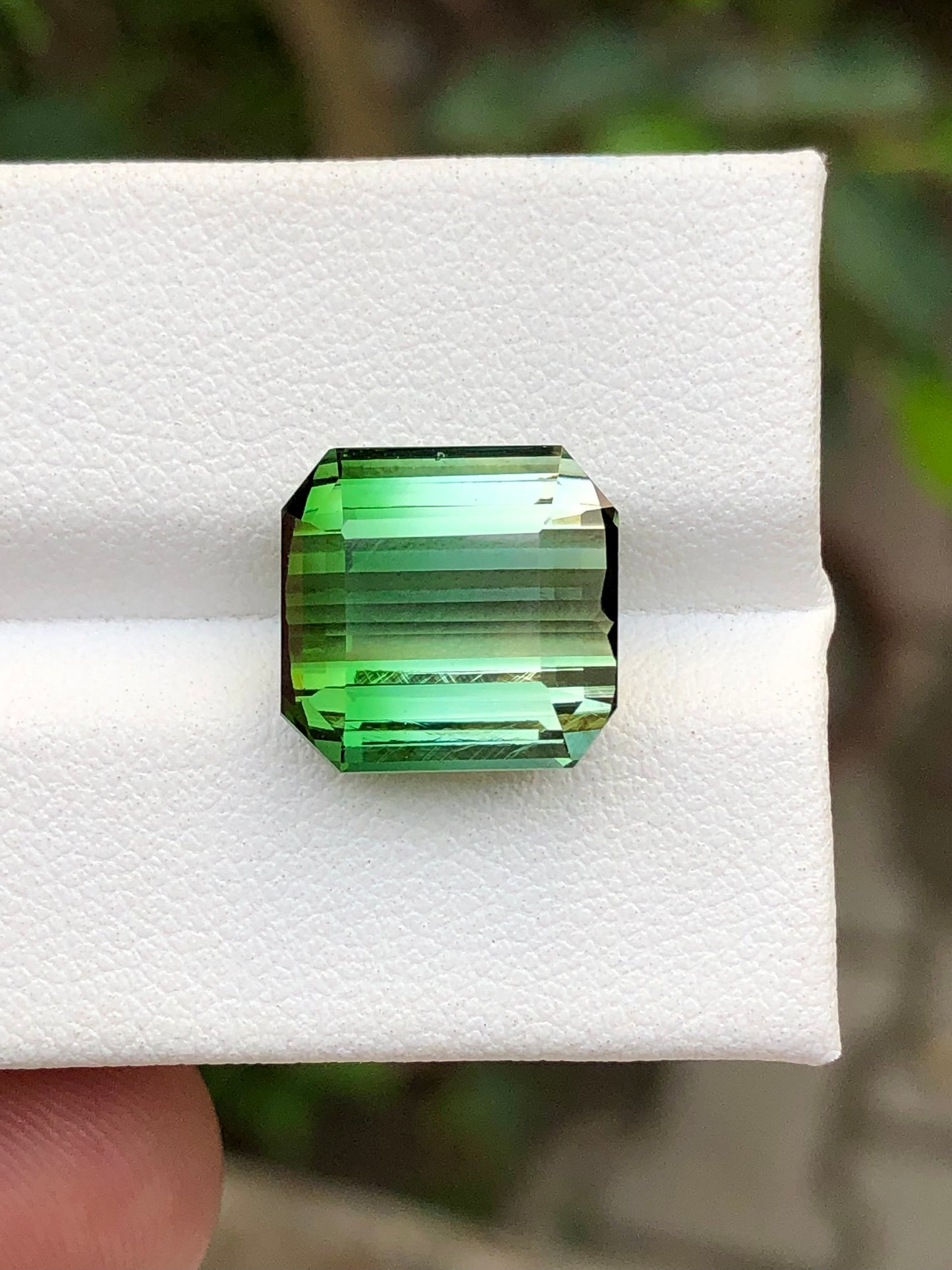 8.95 carat unique bi colour tourmaline origin Afghanistan 12*11*7mm