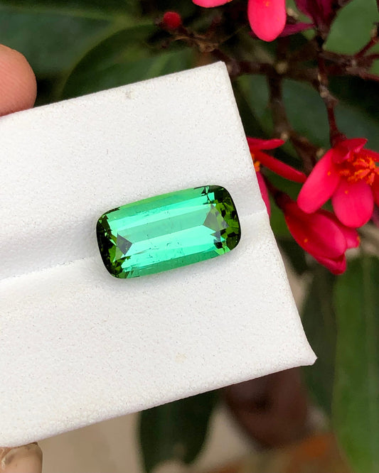 Green tourmaline 5.85 carat cushion cut natural gemstone from Afghanistan perfect for ring