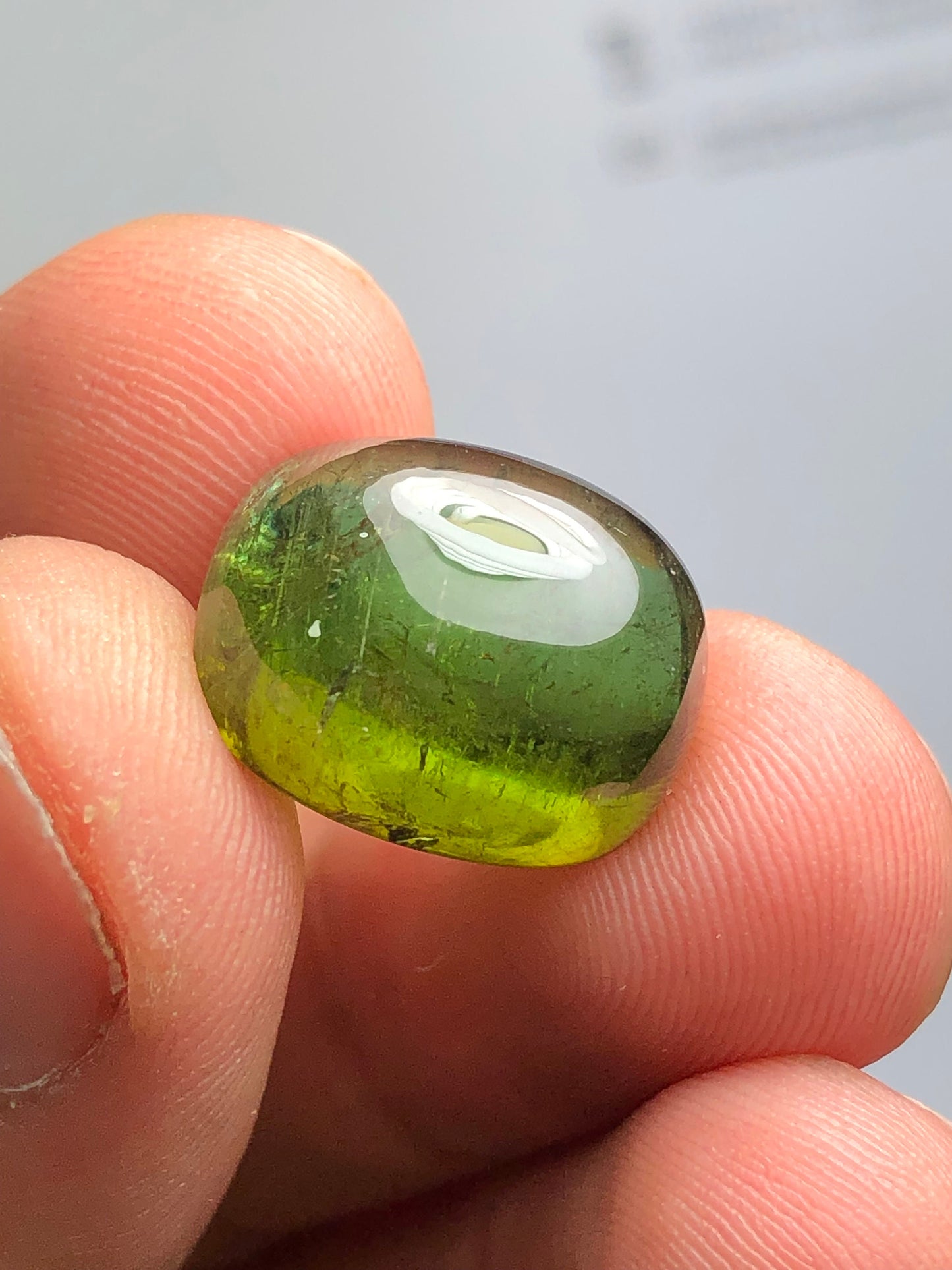 Green tourmaline cabochon 17.25 carat natural flat back