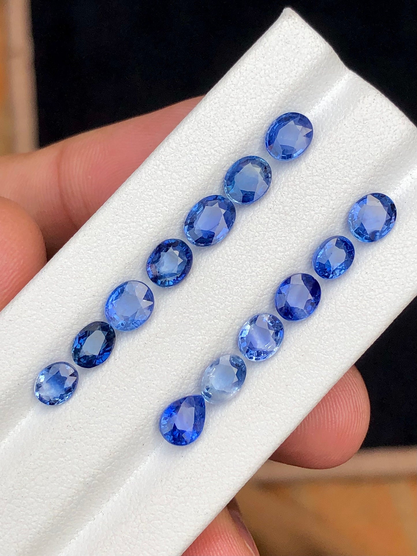 Natural sapphire lot 9.85 carats perfect for jewellery