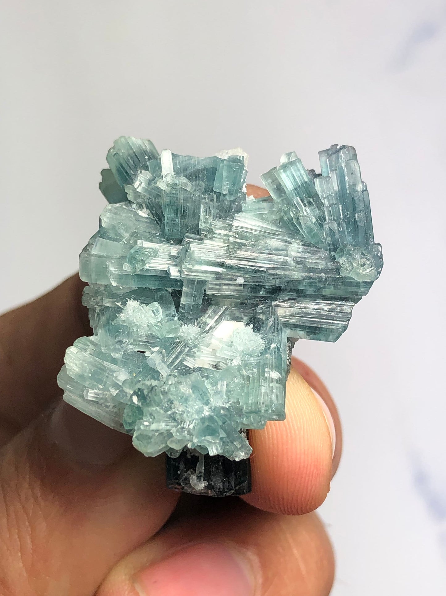 54 carat natural indicolite tourmaline bunch origin Afghanistan