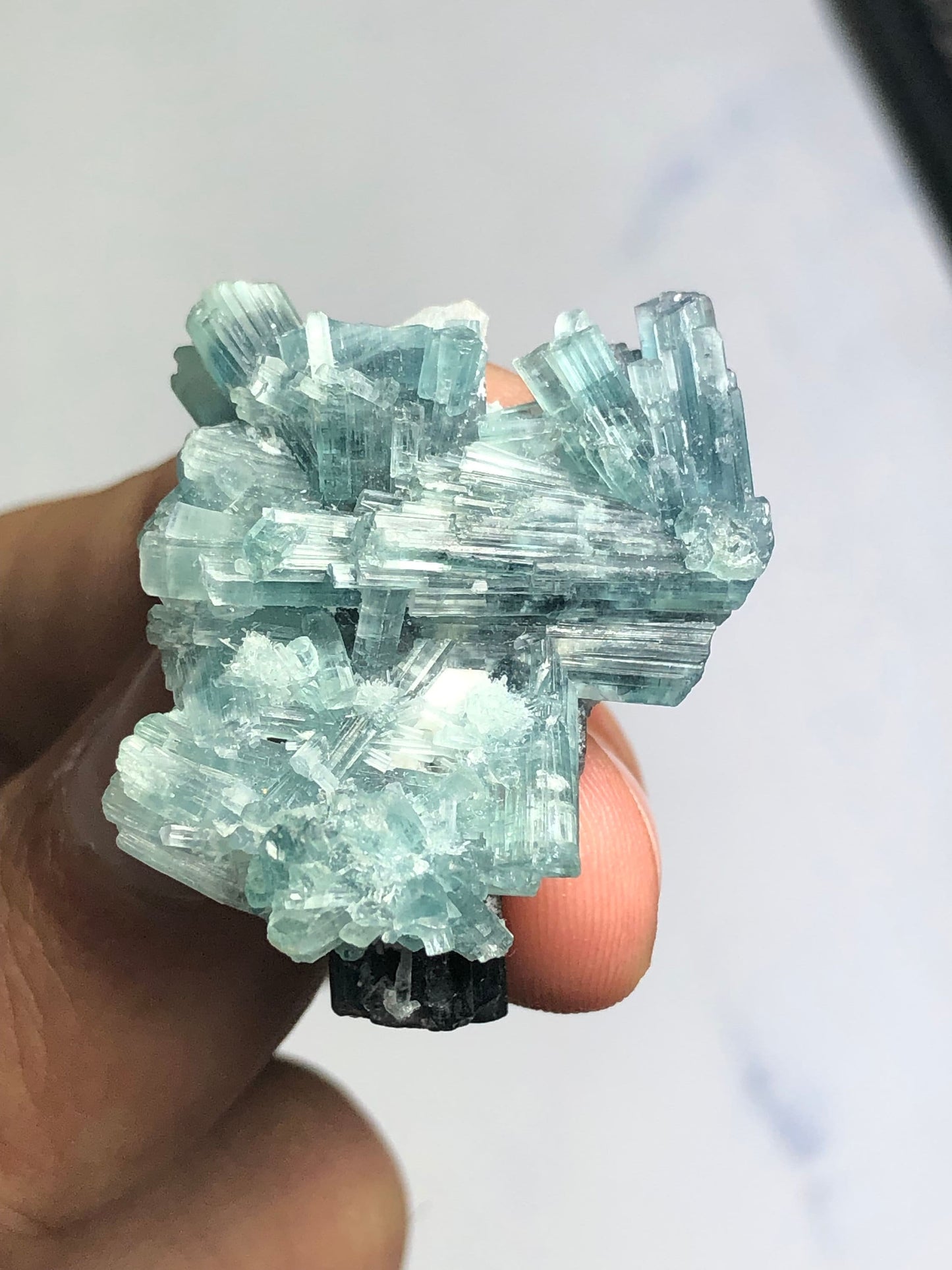 54 carat natural indicolite tourmaline bunch origin Afghanistan